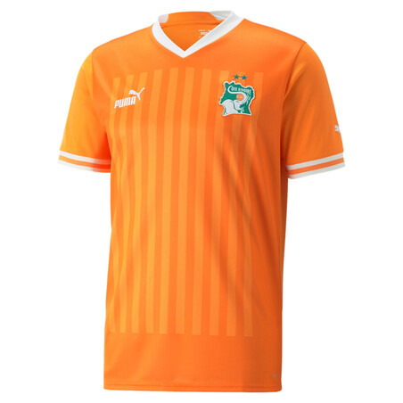 Maillot Cote d'Ivoire domicile 2022 - 21