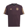 Maillot entraînement junior Allemagne violet or 2022