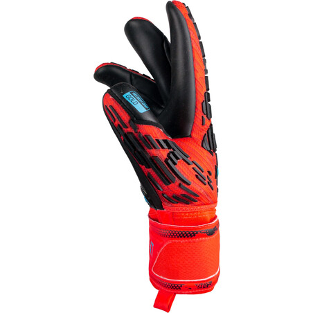 Gants gardien Reusch Attrakt Freegel Gold Finger Support rouge noir