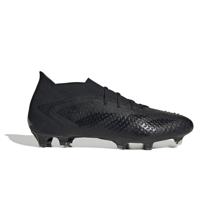 adidas Predator Accuracy.1 FG noir