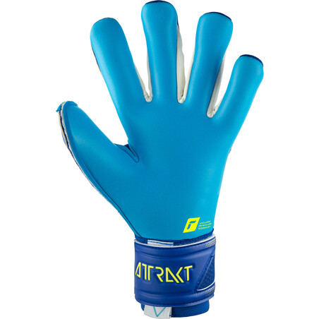 Gants gardien Reusch Attrakt Aqua bleu