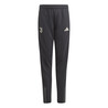 Pantalon survêtement junior Juventus gris blanc 2023/24