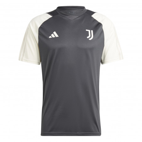Maillot entraînement Juventus gris blanc 2023/24