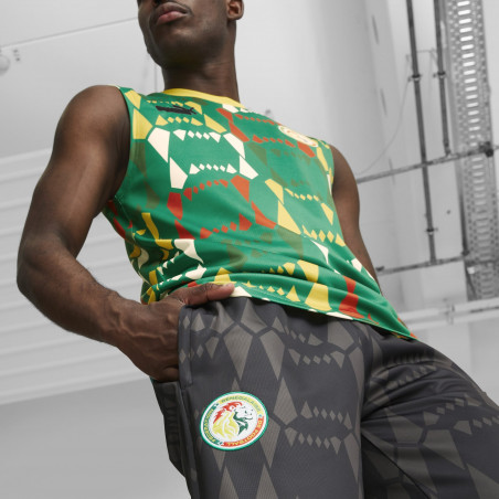 Pantalon survêtement Sénégal Football Culture gris 2023/24