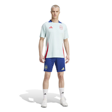 Maillot entraînement Espagne bleu ciel 2024