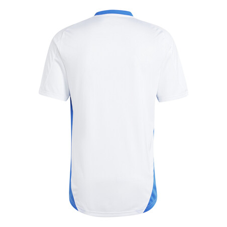 Maillot entraînement Italie blanc bleu 2024