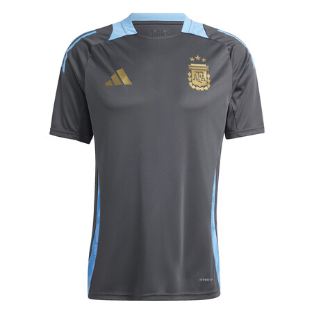 Maillot entraînement Argentine gris bleu 2024