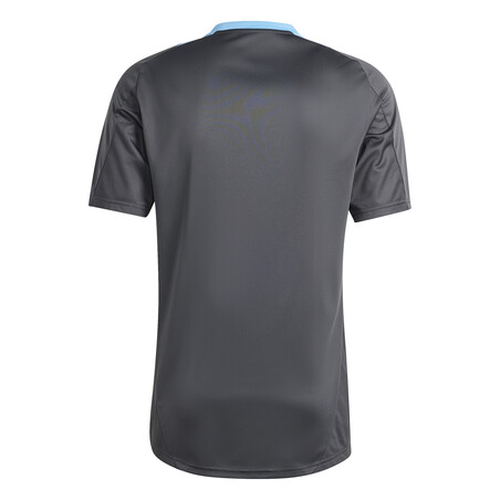 Maillot entraînement Argentine gris bleu 2024