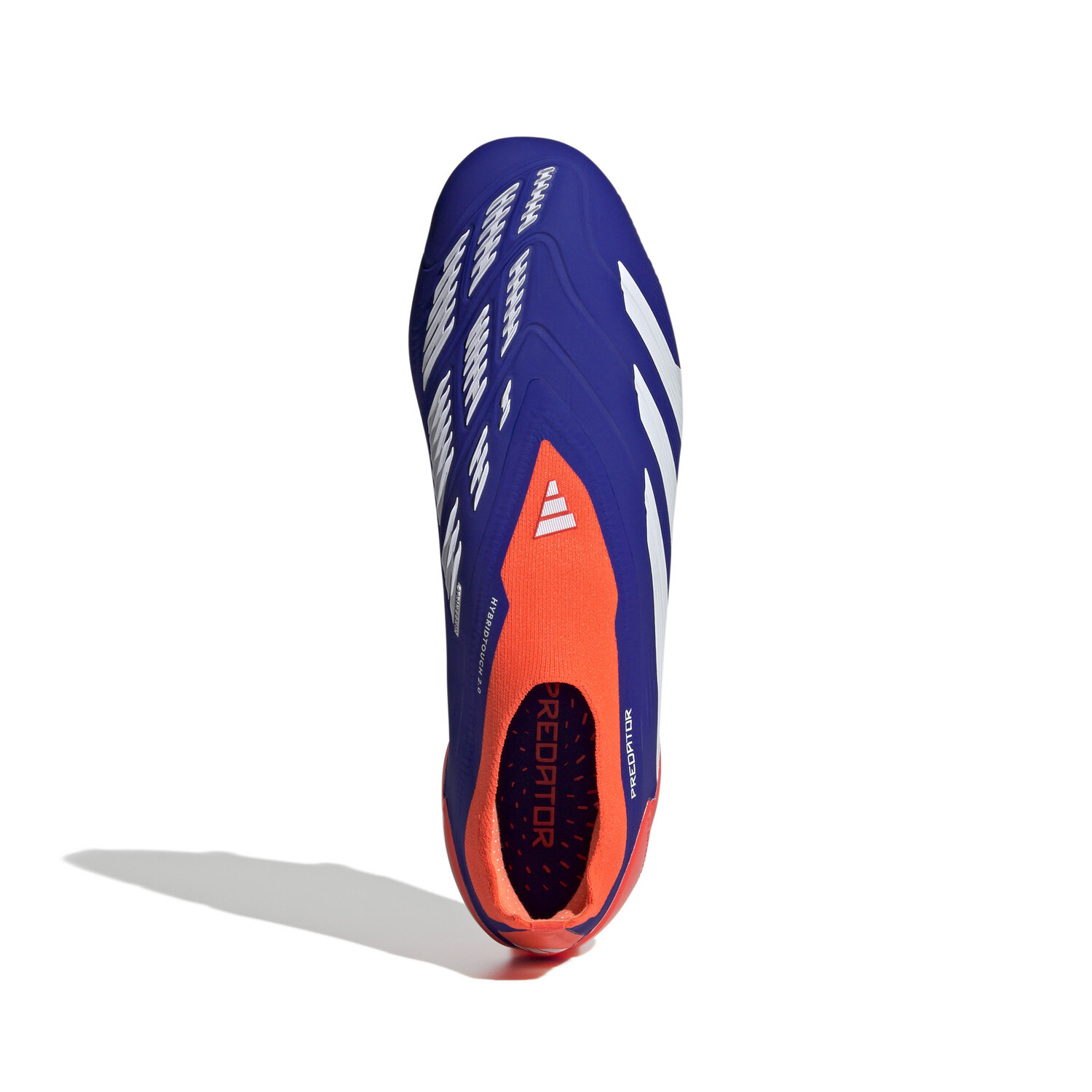 blue predators laceless