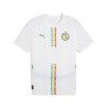 Maillot Sénégal domicile 2025