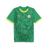 Maillot Sénégal extérieur 2025