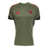 Maillot entraînement Bayern Munich vert