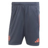 Short entraînement Bayern Munich gris rouge