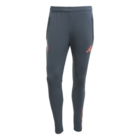 Pantalon survêtement Bayern Munich gris rouge