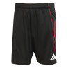 Short entraînement Ajax Amsterdam noir rouge