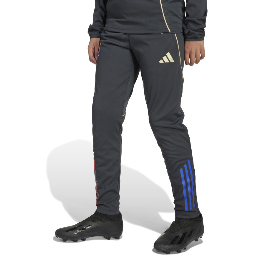 Pantalon survêtement junior OL gris or