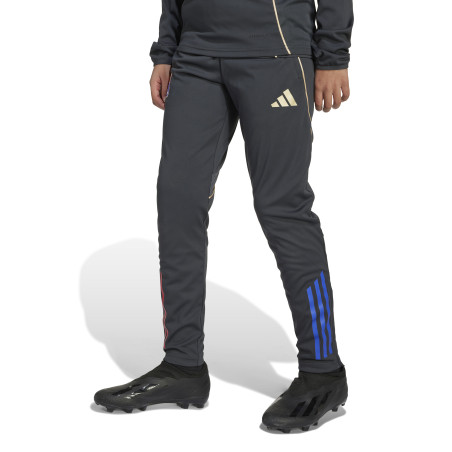 Pantalon survêtement junior OL gris or