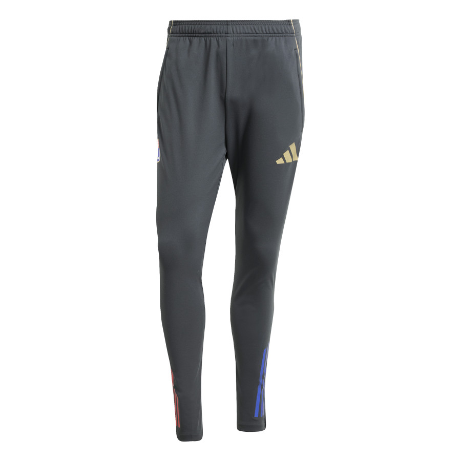 Pantalon survêtement OL gris or