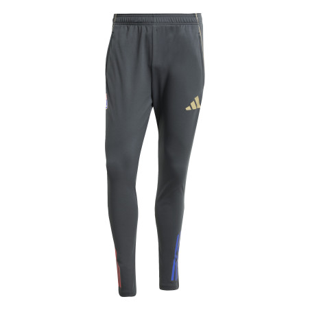 Pantalon survêtement OL gris or