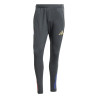 Pantalon survêtement OL gris or