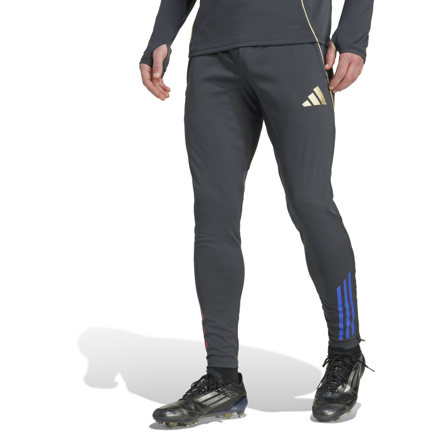 Pantalon survêtement OL gris or