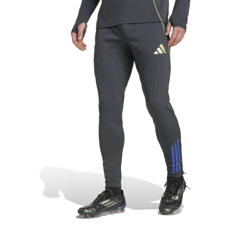 Pantalon survêtement OL gris or