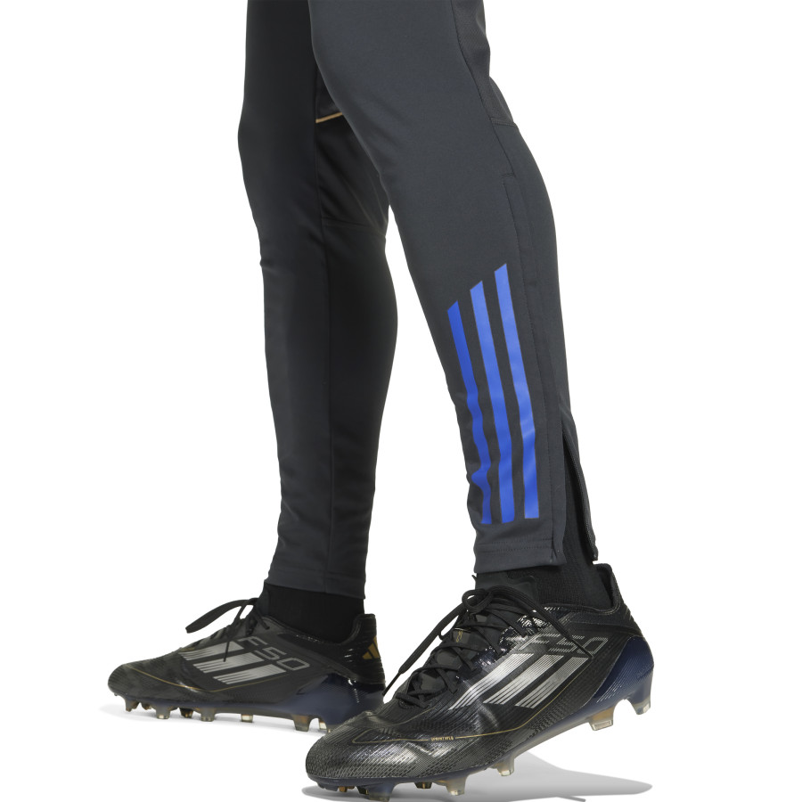Pantalon survêtement OL gris or