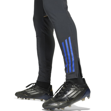 Pantalon survêtement OL gris or