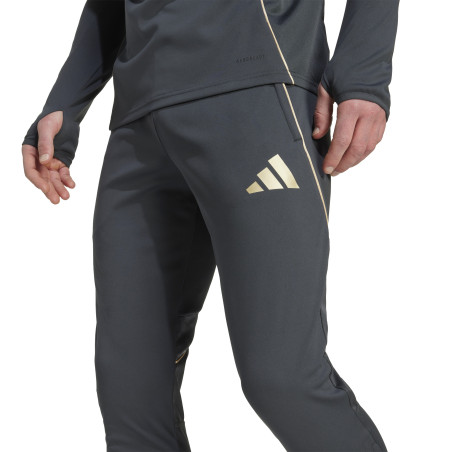 Pantalon survêtement OL gris or