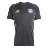 Maillot entraînement OL gris or
