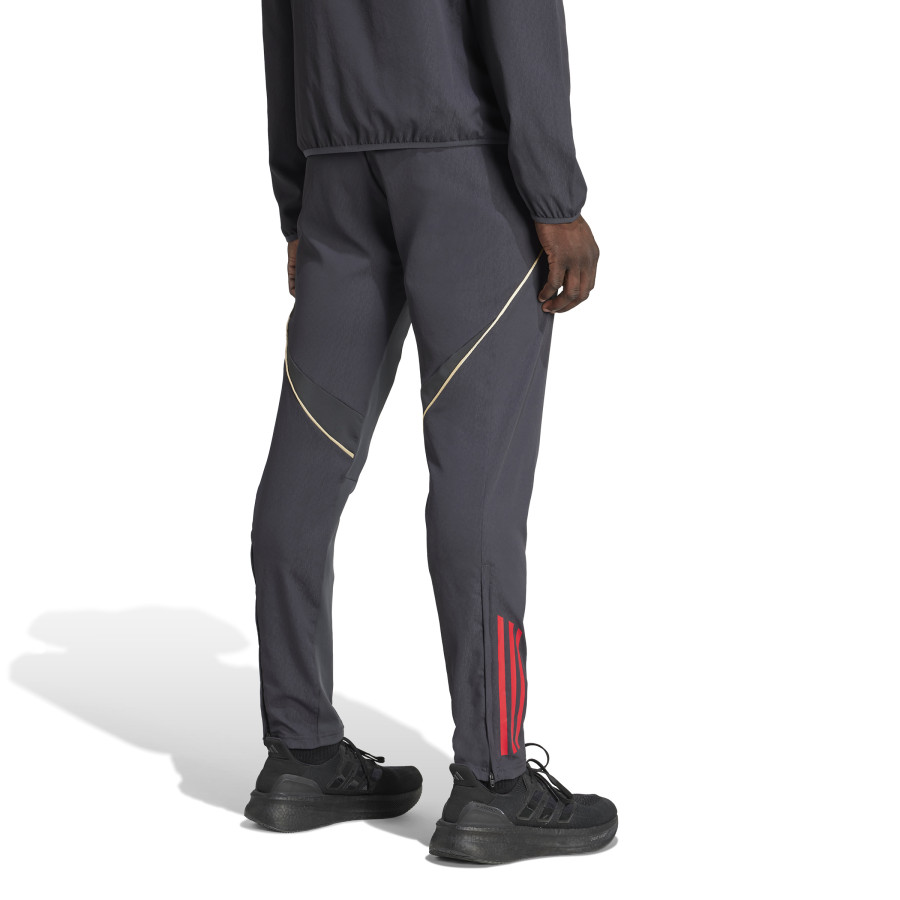 Pantalon survêtement OL Woven gris or
