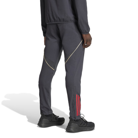 Pantalon survêtement OL Woven gris or