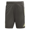 Short entraînement Real Madrid marron vert