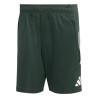 Short entraînement Juventus vert