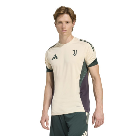 Maillot entraînement Juventus blanc vert