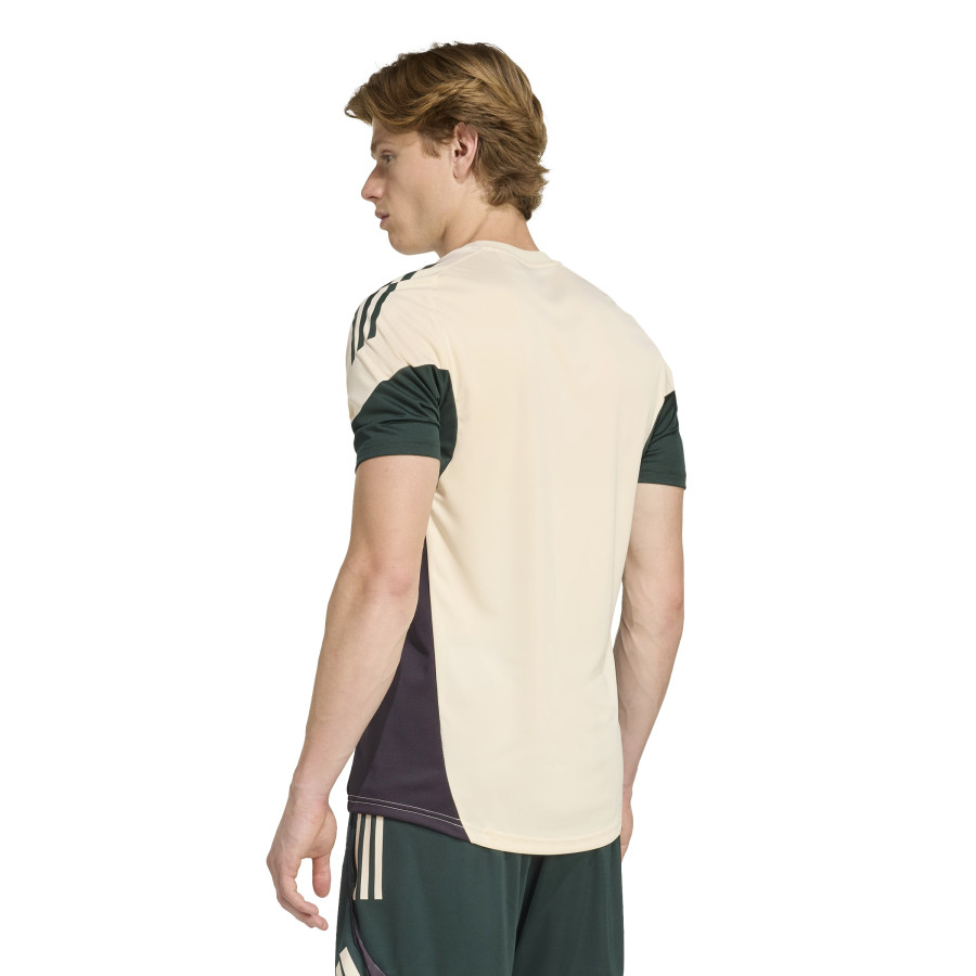 Maillot entraînement Juventus blanc vert