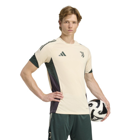Maillot entraînement Juventus blanc vert