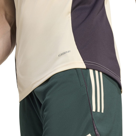 Maillot entraînement Juventus blanc vert