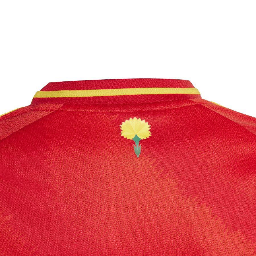 Maillot junior Espagne domicile 2024