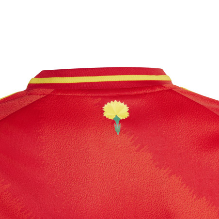 Maillot junior Espagne domicile 2024