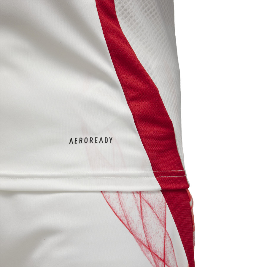 Maillot Japon extérieur 2025/26