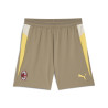 Short entraînement Milan AC marron