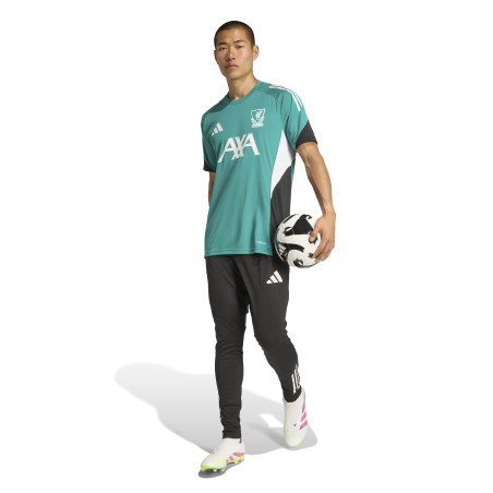 Maillot entraînement Liverpool vert blanc