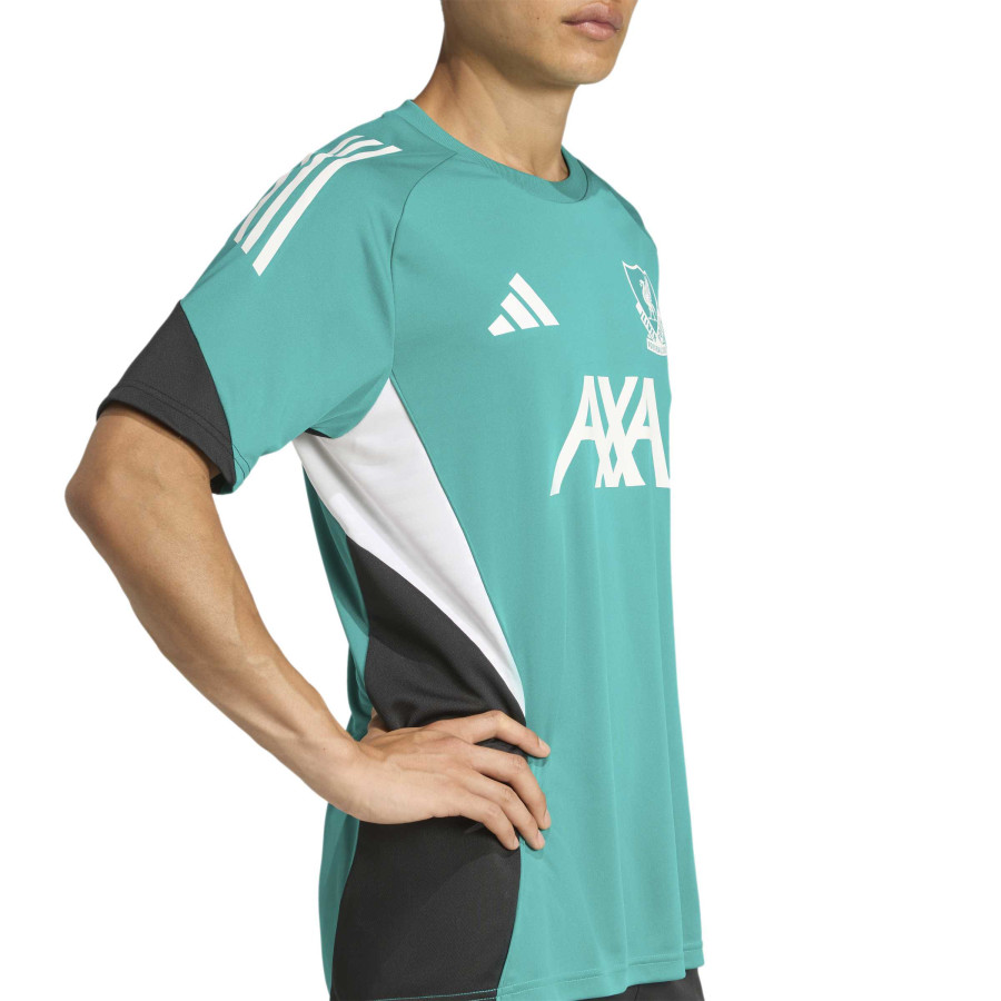 Maillot entraînement Liverpool vert blanc