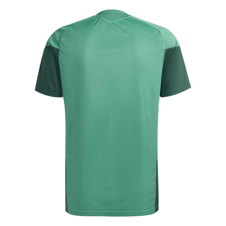 Maillot entraînement Algérie vert rouge