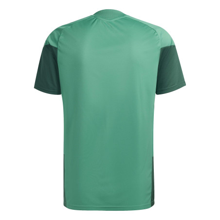 Maillot entraînement Algérie vert rouge