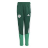 Pantalon survêtement junior Algérie vert