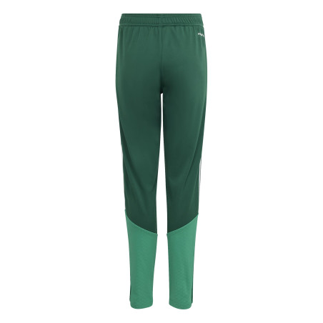 Pantalon survêtement junior Algérie vert