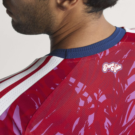 Maillot Costa Rica domicile authentique 2026