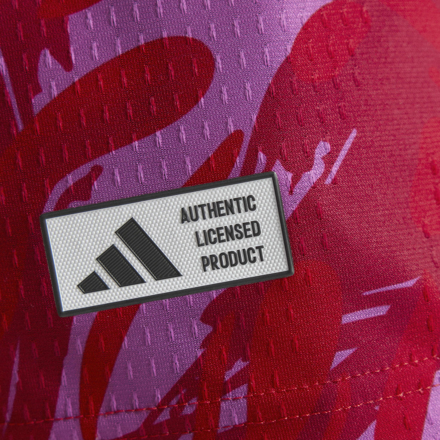 Maillot Costa Rica domicile authentique 2026